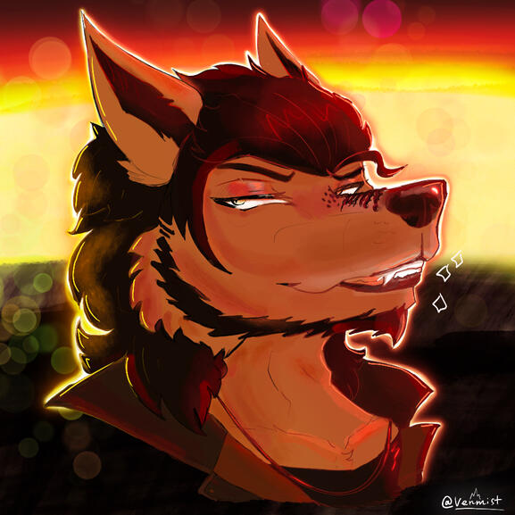 Danny Headshot Danny Headshot